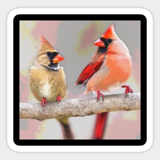 Beautiful Cardinals Sticker